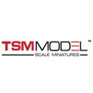 TSM Model